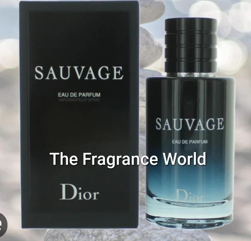 SAUVAGE DIOR 3.4 Oz 100 ml EDP Eau De Parfum Spray For Men – The